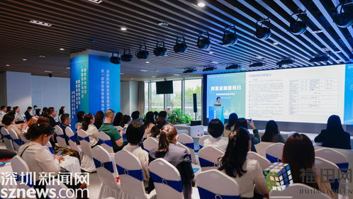 共襄金融支持科技創新盛舉 河套金融服務日聚焦信息技術咨詢服務